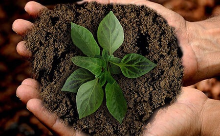 Sustainability 1 Homepage Min