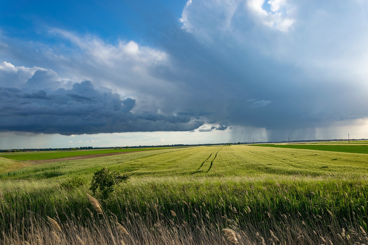 Food And Agriculture Expert Provides Communications Agency With A Review And Recommendations For Clients Sustainability Report